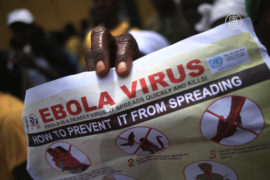 Эбола вернулась в Либерию и Гвинею