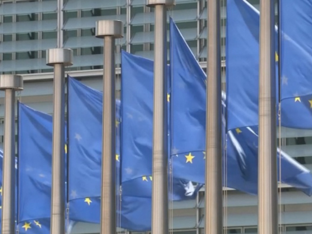 Еврокомиссия отвергла обвинения Greenpeace