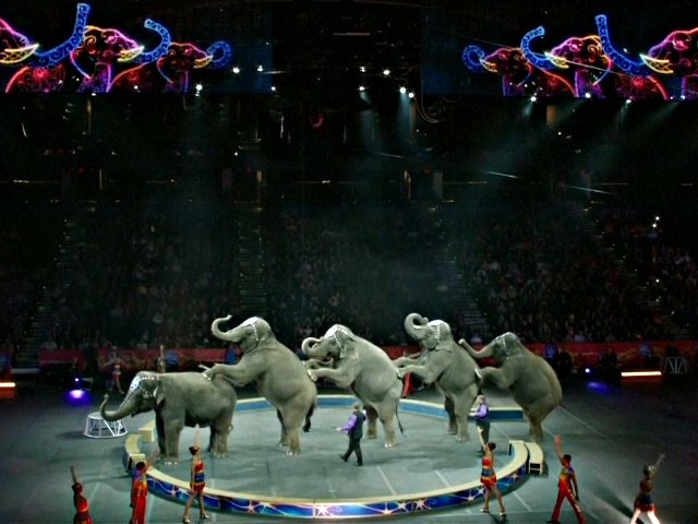 Знаменитый цирк США закрывает шоу слонов