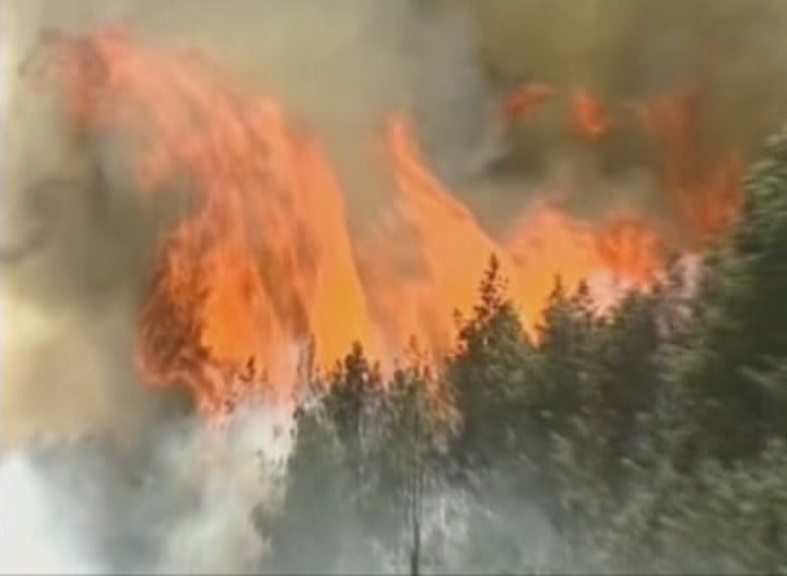 В Сибири начались лесные пожары