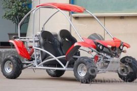 Развитие багги в СССР