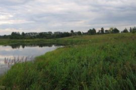 Ярославль — выгодная зона для сделок с земельными участками