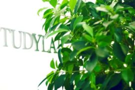 Варианты обучения туризму за границей