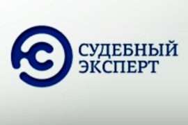 Налоговая экспертиза