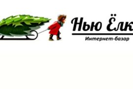 Разновидности елей, или какой отдать предпочтение