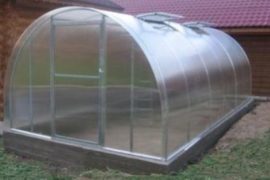 Как выбрать теплицу?