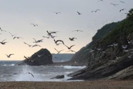 Шамора (Приморский край) — отдых, туризм, достопримечательности