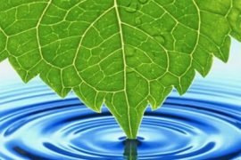 Санитарно-защитные зоны предприятий