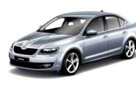 Из Зеленограда на такси – в Домодедово