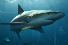 Форекс брокер Alpari — сила в простоте