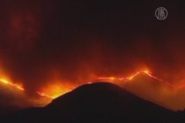 2000 человек эвакуировали из-за пожара в Валенсии