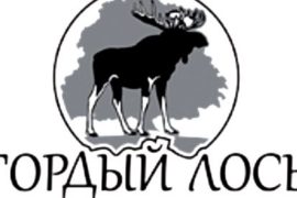 На электронной витрине – охотничьи ножи