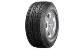 Шины Dunlop