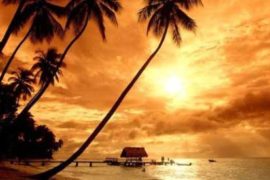 Открыть для себя Индию