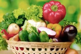 Познавательный журнал о здоровье