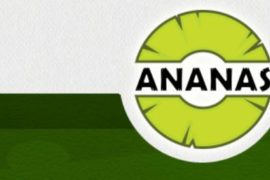 6 странных и оригинальных услуг, которые вам могут предложить