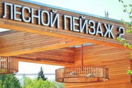 А за окном – лесной пейзаж