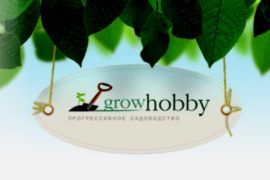 Светильники для растений: подари жизнь!