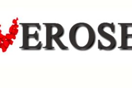 Шкатулки для украшений: виды и их характеристика