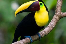 Путешествуем с Double Bay Americas