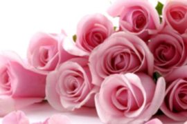 Цветы – самый романтичный подарок