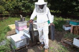 Немного о домашнем бизнесе