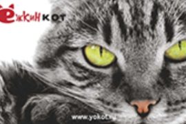 Зоосервис «Ёжкин кот»