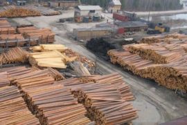 Пиломатериалы из сибирской лиственницы