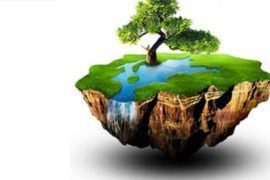 Приватизация земли в Санкт-Петербурге